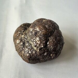 Dragon Egg Early Diagenetic Cretaceous Pyrite Nodule Concretion Mooreville Chalk